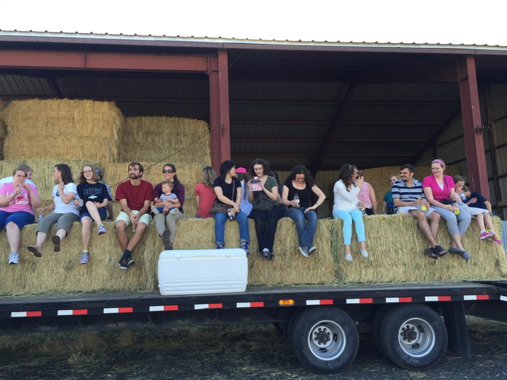 Nutrition Elevated Utah Dietitians Visit Grass Fed Beef Farm